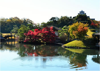 写真：庭園