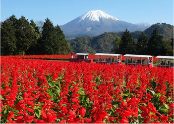 写真：动植物园