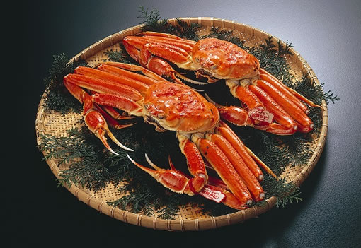 Matsuba crab