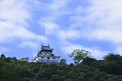 写真：岩国城