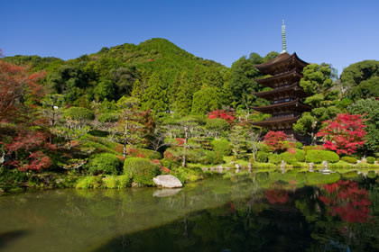 写真：瑠璃光寺 五重塔