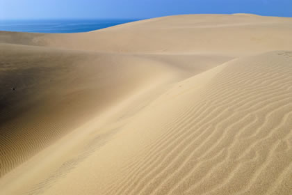 Tottori Sand Dunes