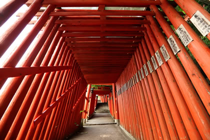 Taikodani Inari Shrine