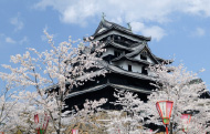 picture:Matsue Castle