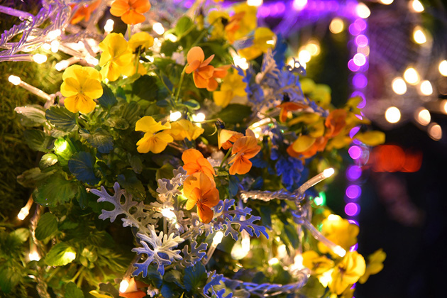 鳥取花迴廊花燈飾 山陰山陽觀光資訊網站