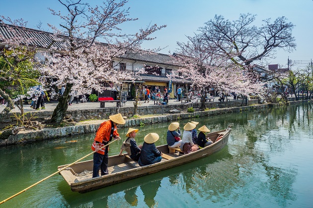 Cherry Blossoms at Kurashiki Bikan Historic Quarter – Chugoku Region  Tourism Guide