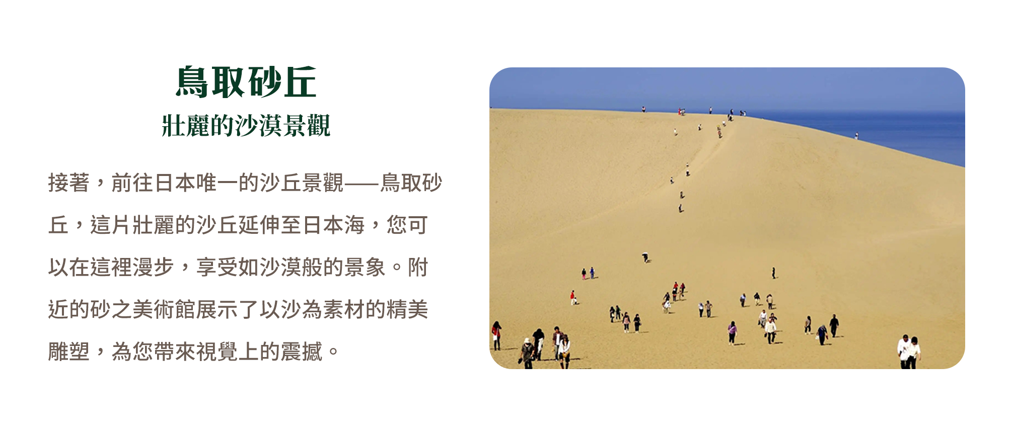 鳥取砂丘 壯麗的沙漠景觀