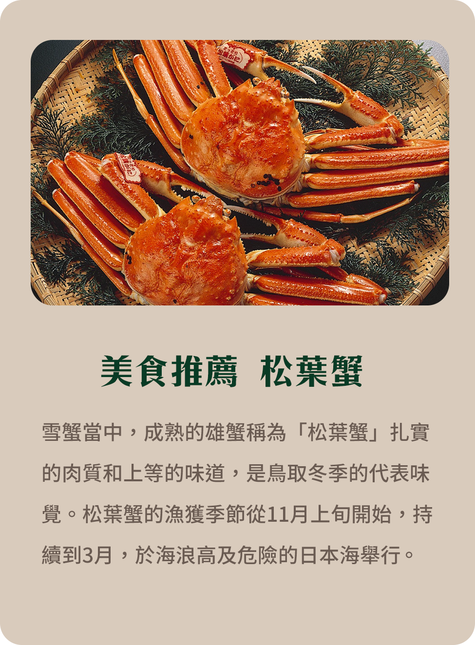 美食推薦 松葉蟹