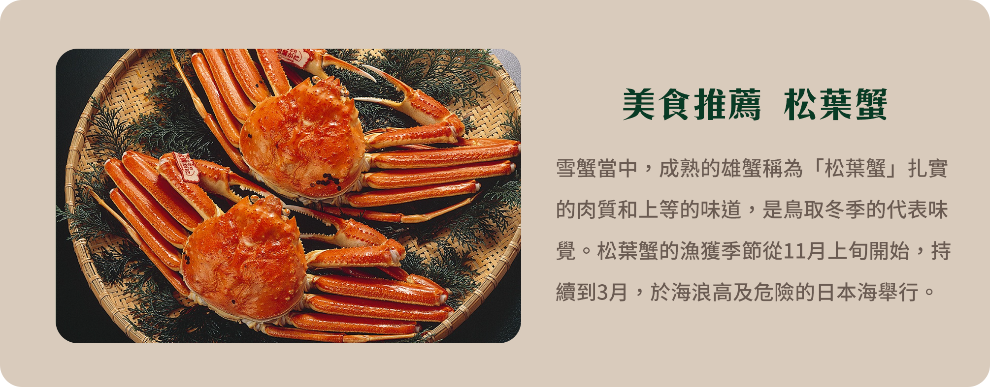 美食推薦 松葉蟹