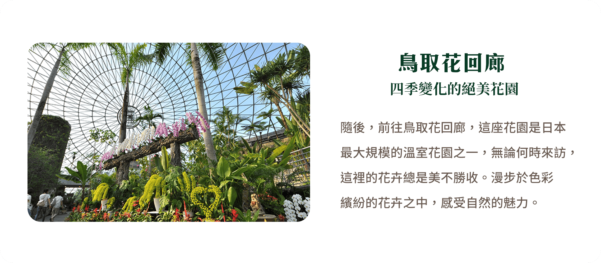 鳥取花回廊 四季變化的絕美花園