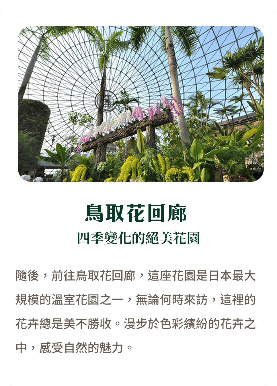 鳥取花回廊 四季變化的絕美花園