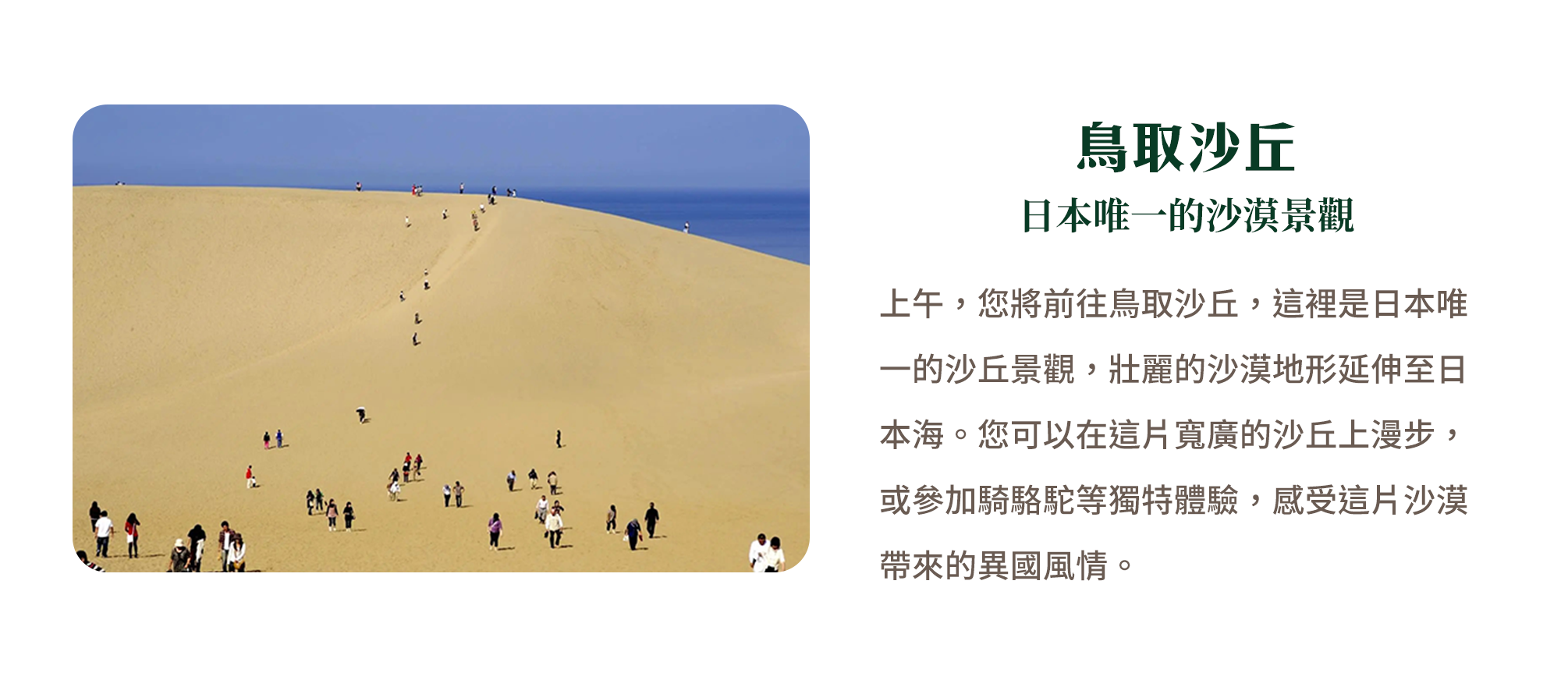 鳥取沙丘 日本唯一的沙漠景觀