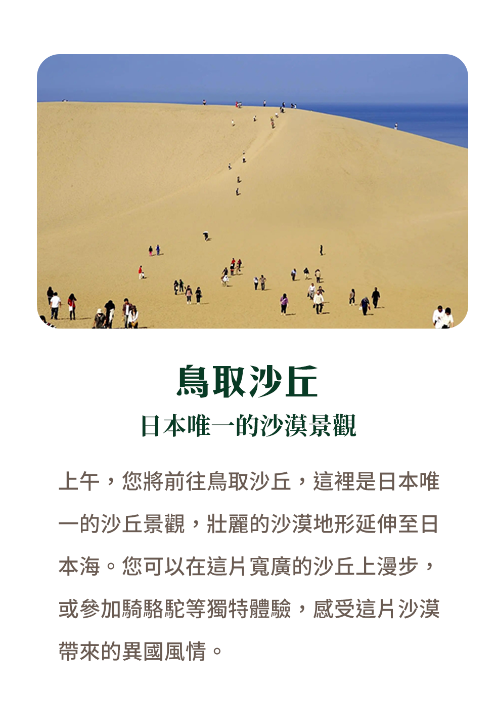 鳥取沙丘 日本唯一的沙漠景觀