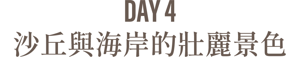 Day4 沙丘與海岸的壯麗景色